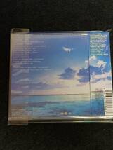 CD008 TRUE LOVERS 今年の夏は思いっきり愛し合っちゃってください　カバーコレクション　_画像2