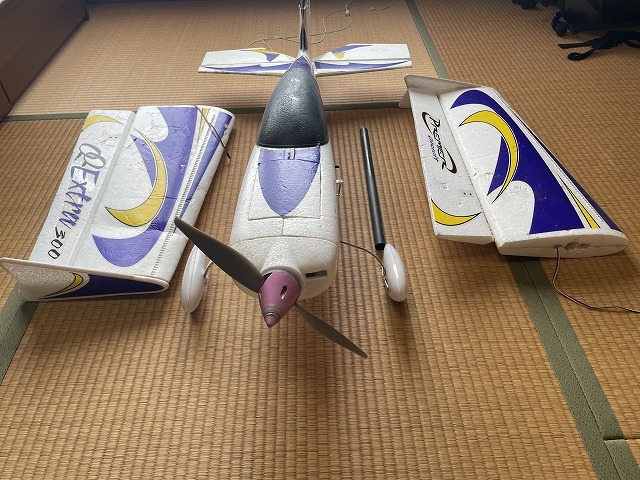 ヤフオク! -「extra 300」(飛行機) (ホビーラジコン)の落札相場・落札価格