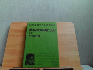 洪水はわが魂に及び　上巻　大江健三郎　シミ有 1974年4月30日 発行