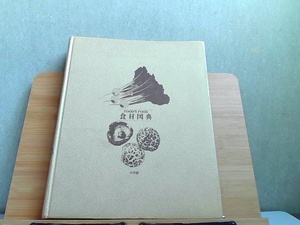 食材図典　小学館　外箱無し・歪み折れヤケシミ有 1995年4月20日 発行