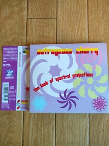 アウトレイジャス・チェリー ザ・ブック・オブ・スペクトラル・プロジェクションズ Outrageous Cherry The Book of Spectral Projections