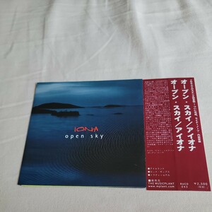 IONA 「OPEN SKY」 Joanne Hogg、Dave Bainbridge、Troy Donockley (NIGHTWISH)関連 シンフォニック・ロック系、ケルト系名盤