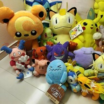 ポケットモンスター ポケモン ぬいぐるみ ピカチュウ まとめ 大量セット ポケモンセンター ゲンガー 一番くじ 色違い イーブイ pokemon　⑬_画像5