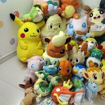 ポケットモンスター ポケモン ぬいぐるみ ピカチュウ まとめ 大量セット ポケモンセンター ゲンガー 一番くじ 色違い イーブイ pokemon　⑭_画像5