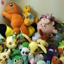 ポケットモンスター ポケモン ぬいぐるみ ピカチュウ まとめ 大量セット ポケモンセンター ゲンガー 一番くじ 色違い イーブイ pokemon　⑯_画像4