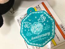 新品 14周年 TDS アラビア ミッキー ぬいぐるみ バッジ TDS TDR ディズニーシー 14TH アラジン アラビアンコースト_画像5