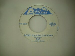 ■ 輸入バルバドス盤 シングルEP 　RIO / BORN TO SING CALYPSO CONTRACEPTIVE リオ カリプソ 1974年 ANT 1006 ◇r50420