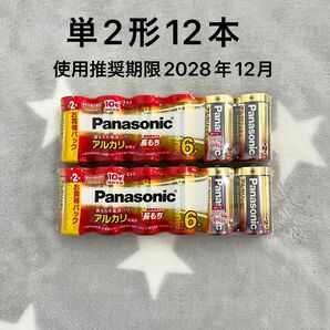 Panasonic アルカリ乾電池 パナソニック　単2形　12本セット