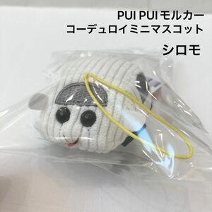 新品 PUI PUI モルカー コーデュロイミニマスコット シロモ