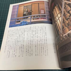 辻村ジュサブローの世界 吉原 失われた「文化」を求めて 昭和56年 初版 辻村寿三郎 人形の画像7
