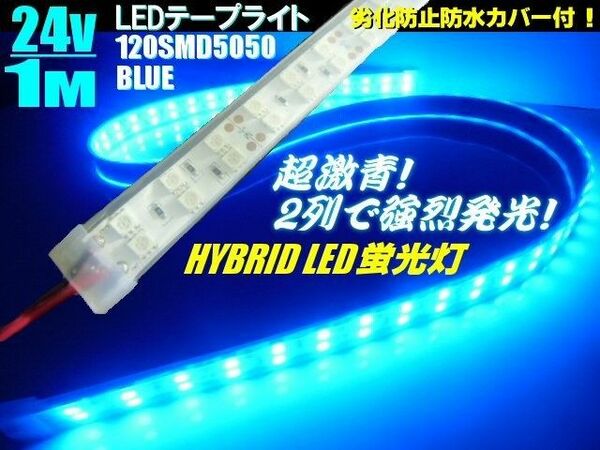 24V 1M 切断可能 劣化防止 防水カバー付 2列 LEDテープ 青 ブルー