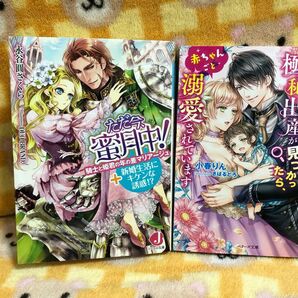 TL文庫2冊セット　ただ今、蜜月中！ 騎士と姫君の年の差マリア－ジュ＋新婚生活にキケンな」他1