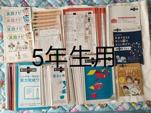 進研ゼミ 小5 小6 考える力