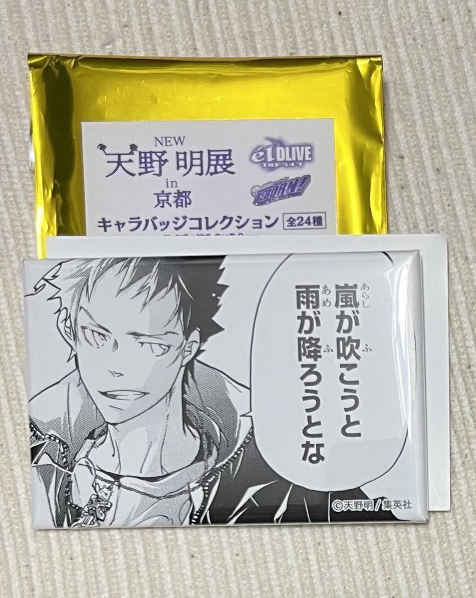 超歓迎】 天野明展 ディーノ アクキー キャラクターグッズ