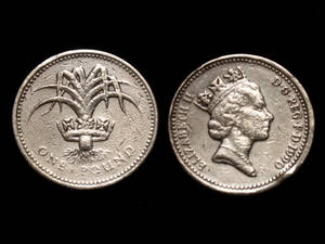 【イギリス】 1990年 1ポンド　Pound　白銅貨　エリザベス2世女王　ウェールズ　リーキ