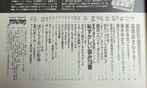 ★アクションカメラ　NO.149　1994年5月号　★雛形あきこ/高原あきら/葉月エリナ/清水ゆかり/堀川ミミ/三井さやか/斉藤薫 他_画像4