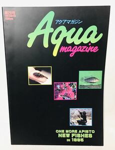 アクアマガジン 第28号③ ONE MORE APISTO NEW FISHES アピスト アルタミーラ の新顔 プレコ 1995 WINTER 定価1500円⑥オ