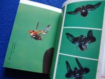 ◆2 　昆虫記　誕生から死まで,飛翔の世界 ２冊揃い　栗林 慧　/ 教養カラー文庫 昭和51,52年,初版,カバー付_画像6