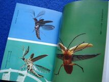 ◆2 　昆虫記　誕生から死まで,飛翔の世界 ２冊揃い　栗林 慧　/ 教養カラー文庫 昭和51,52年,初版,カバー付_画像5