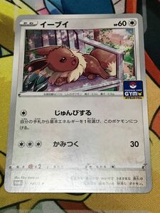 ポケモンカード　イーブイ　ジムプロモ