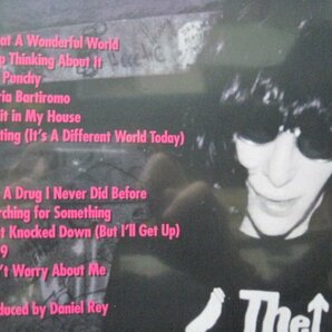 LP” 未開封シールド / JOEY RAMONE // Don’t Worry About Me -Ramones (records)の画像3
