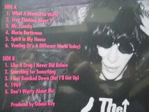 LP” 未開封シールド / JOEY RAMONE // Don’t Worry About Me -Ramones (records)_画像3