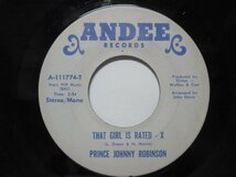 7’ US盤 PRINCE JOHNNY ROBINSON // That Girl Is Rated - X / Make Love To Me (Right Now) -ANDEE 111774 (records)_画像1