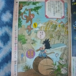 ドラゴンボール DRAGON BALL 新連載・第１回掲載号 週刊少年ジャンプ１９８４年５１号 極美品 孫悟空 きまぐれオレンジロードの画像2