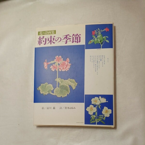 zaa-450♪花の詩画集 約束の季節 渋川 矗 (イラスト), 青木 はるみ (詩) 東方出版 (1996/3/1)