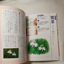 zaa-450♪ぬり絵をたのしむ　美しい日本の花 池田書店編集部【編】/斎藤 茂太【解説】 池田書店（2006/08発売）_画像7