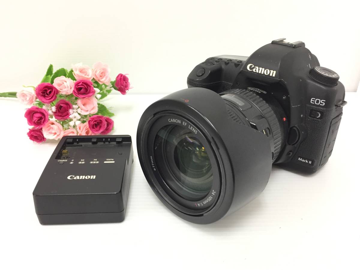 カメラ レンズ(ズーム) ヤフオク! -canon ef24-105mm f4l is ii usmの中古品・新品・未使用品一覧