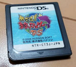 DS　めざせ！！釣りマスター ＤＳ　（ソフトのみ）