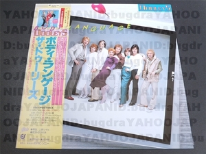 EPICソニー The Dooleys Body Language 25-3P-184 レコード 即決