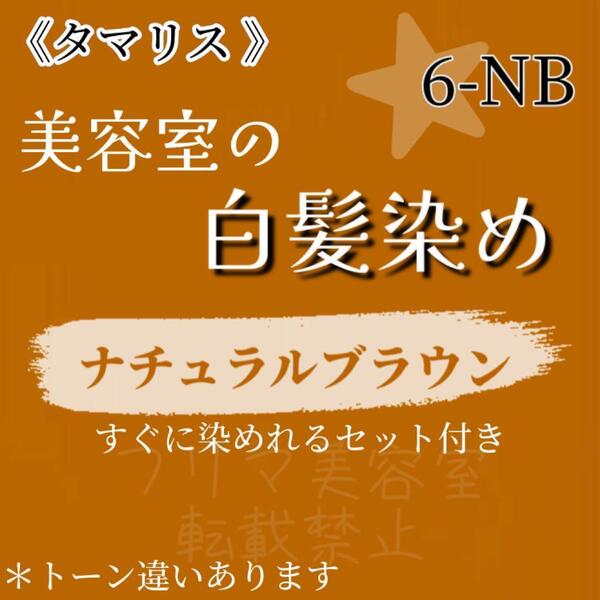 セール中☆ 白髪染め セット(ショート・メンズヘア用)ナチュラルブラウン6