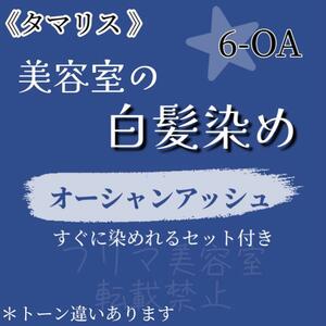 セール中☆タマリス 白髪染め セット（ロングヘア用）オーシャンアッシュ6-OA