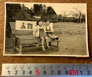 RR-2678 ■送料無料■ 子供 女の子 2人 洋服 公園 ベンチ 木製イス カルピス 飲料水 広告 看板 記念写真 写真 古写真 印刷物 /くKAら