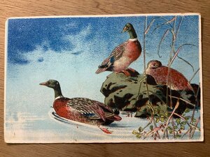 Art hand Auction FF-2857 ■Free Shipping■ Duck Bird Birds Landscape Scenery Painting Artwork Illustration Art Design Retro Postcard Entire Photo Old Photo/Kunara, printed matter, postcard, Postcard, others