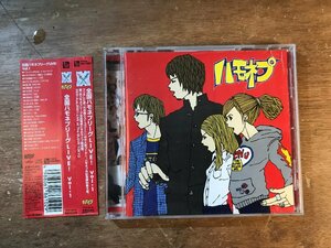 DD-9481 ■送料無料■ 全国ハモネプリーグLIVE! Vol.1 フジテレビ バラエティ ネプチューン アカペラ コーラス CD 音楽 MUSIC /くKOら