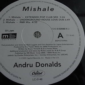 UK12' Andru Donalds/Mishale-Extended Pop Club Mixの画像4