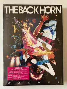 DVD 見本盤 ◇未開封◇「THE BACK HORN / 創造のパルス(初回限定盤)」