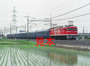 鉄道写真、645ネガデータ、165958850004、EF81-95＋24系（乗務員訓練運転）、JR東北本線、栗橋〜東鷲宮、2012.05.17、（4484×3284）