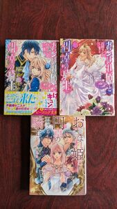 ライトノベル「おこぼれ姫と円卓の騎士」１６巻、１７巻、短編集の３冊　石田リンネ／著／ビーズログ文庫／ＫＡＤＯＫＡＷＡ）