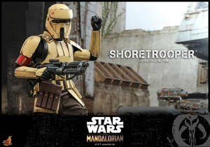 ホットトイズ 1/6 マンダロリアン ショアトルーパー 未開封新品 TMS031 スター・ウォーズ The Mandalorian - Shoretrooper HOTTOYS