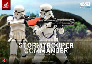 ホットトイズ 1/6 マンダロリアン ストームトルーパー・コマンダー 未開封新品 TMS041 Star Wars Stormtrooper Commander HOTTOYS