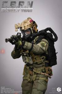 EASY&SIMPLE 1/6 CBRN Assault Team 未開封新品 26054R 検） DID SS DAMTOYS FLAGSET Facepoolfigure ES FLAGSET UJINDOU