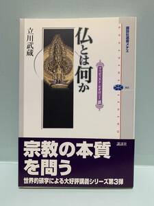 講談社選書メチエ　ブッディスト・セオロジーⅢ　仏とは何か　　　著：立川武蔵