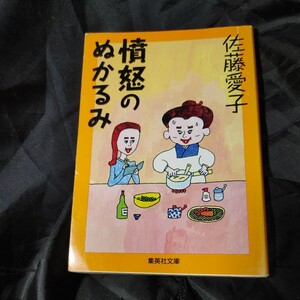 【古本雅】,憤怒のぬかるみ さんざんな男たち女たち,佐藤愛子著,集英社文庫,4087482677 