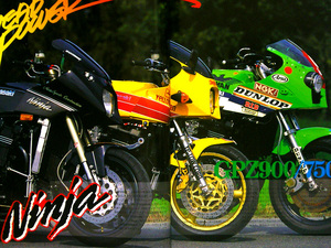 GPz900 GPz750 NINJA 大特集 雑誌　A1 A2 A3 A4 A5 A6 ニンジャ メンテナンス 主要 諸元表 メカニズム詳細解説 ドクタースダ