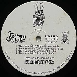 Lords Of The Underground - Blow Your Mind / Hennesey Part II (Promo)