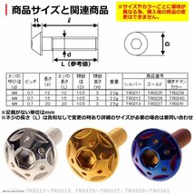 M4×20mm P0.7 ボタンボルト スターホールヘッド ステンレス 車/バイク/自転車 ドレスアップ パーツ 焼きチタンカラー 1個 TR0241_画像3